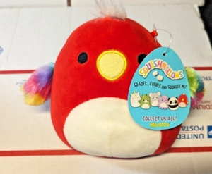 Squishmallows 8 Zoll Stofftier Plüschtier Paco der Papagei Spielzeug 2019 Neu mit Etikett - Bild 1 von 3