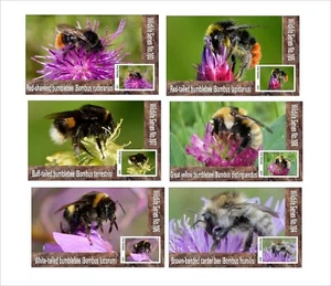 HUMMELN BIENEN BIENE INSEKTEN 6 BLOCKS POSTFRISCH UNGEZÄHNT - Bild 1 von 1