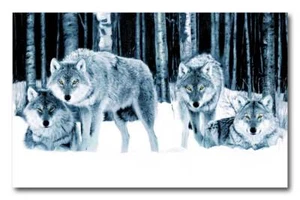 Wolf Pack in Snow Forest CANVAS PRINT Art 18"X 24" poster - Picture 1 of 1