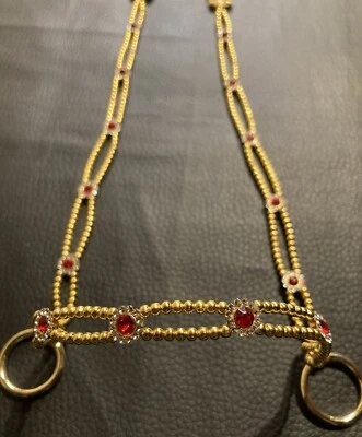 Araber Showhalfter ,Pferdeschmuck Perlen/ Strassblumen ,Foto , Pferd - Bild 1 von 4