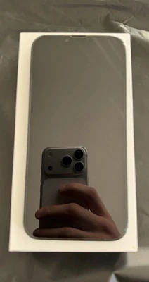 iPhone 13 Pro Max 128GB, Alpingrün mit Backcover schaden❗️ - Bild 1 von 4