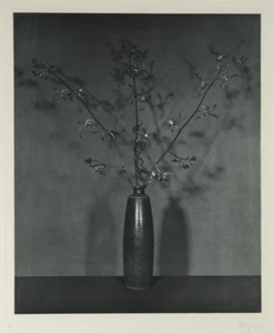 ROBERT MAPPLETHORPE - Blumen Serie - 1983 signiert nummeriert Großformat - Bild 1 von 3