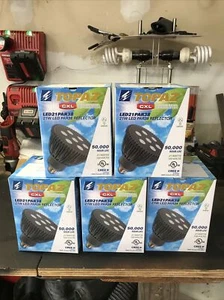 LED Spot light bulbs - Picture 1 of 4