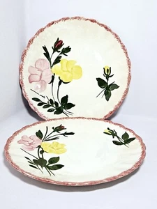 Vintage Southern Pottery Underglaze Hand Painted Plates Set/2 7" Floral USA Made - Picture 1 of 10