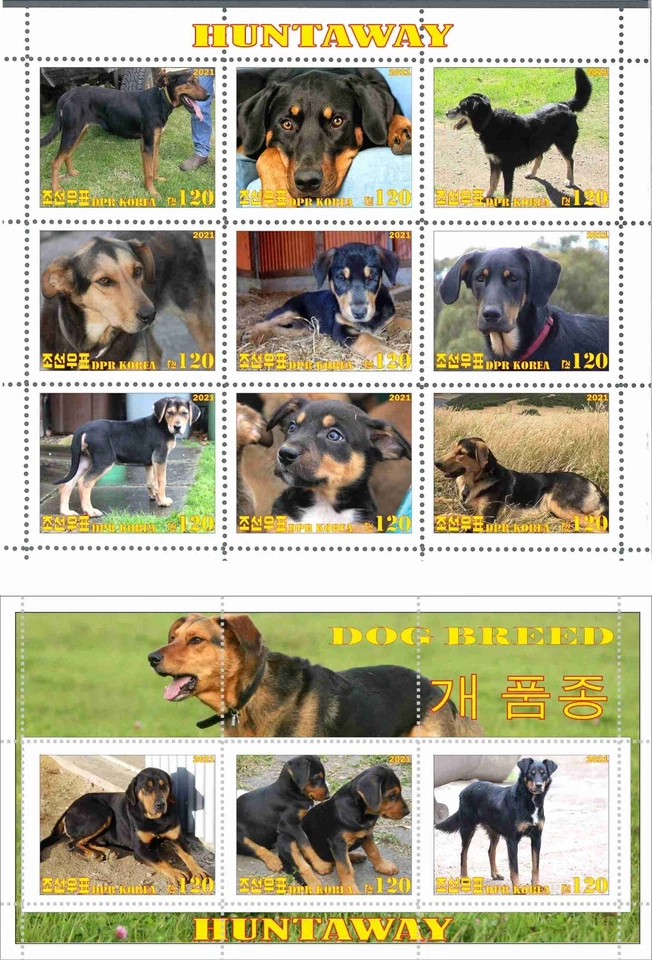 Stamp sheet+block Huntaway  Dogs Korea 2021 issue - Image 1 of 1