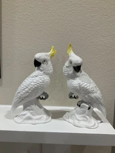 Elegante par de cacatúas de mediados de siglo de T.J Jones Staffordshire - Imagen 1 de 5