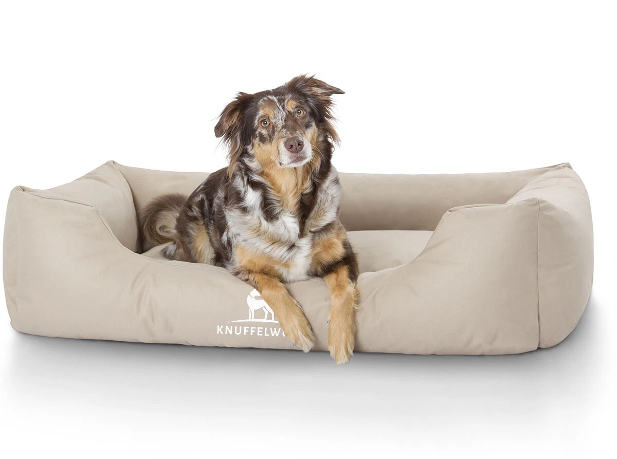 Orthopädisches Hundebett Für Große Hunde | Memory-Schaum-Matratze, Wasserdicht, Abnehmbarer Bezug – Größe 91,4 X 68,6 Cm