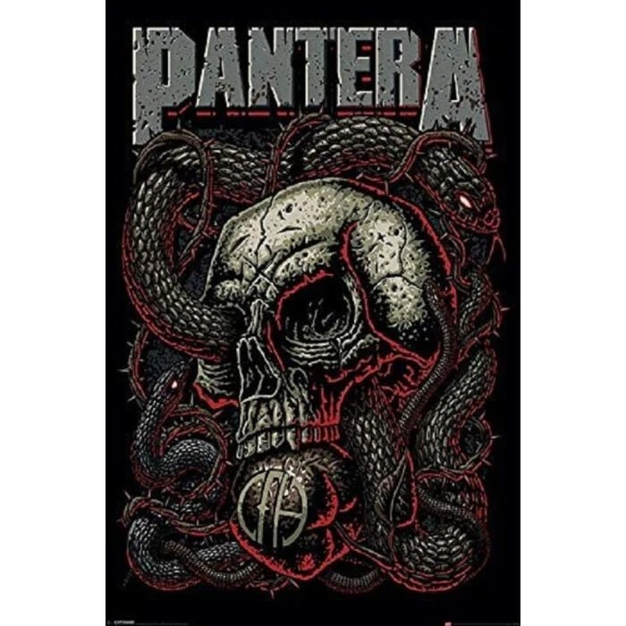 PANTERA SNAKES AND SKULL POSTER NEW 24x36 FREE SHIPPING - Image 1 of 1