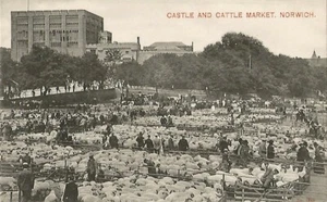 AK Großbritannien Norwich Castle and Cattle Market um 1904 NrMINT ungelaufen - Bild 1 von 2