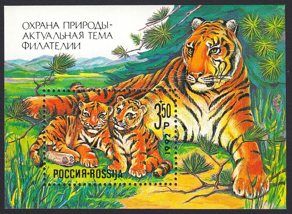 TIGER, CUBS * USSR /Russia 1992 Sc B185 Mi Block 1 * MNH Souvenir sheet - Image 1 of 1