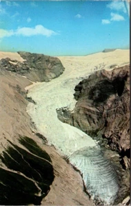 COUGARSPAW GLACIER Spruce Forest south of FORT NELSON Alaska Highway Postcard - Picture 1 of 2