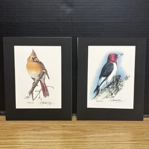 Two Jim Wonderling Limited Edition Bird Prints #5131 - Picture 1 of 7