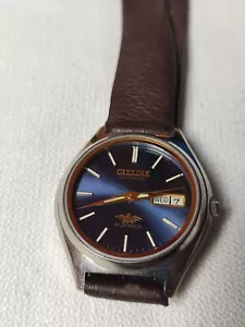 Cittine automatic, run, 085 - Imagen 1 de 15