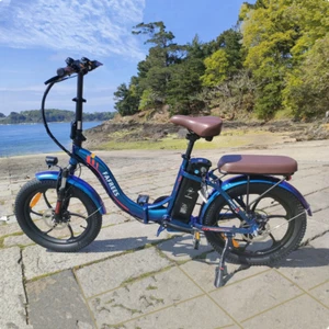 Fafrees Elektrofahrrad Trekking eBike 20 Zoll 250W Mountainbike Pedelec Citybike - Bild 1 von 12