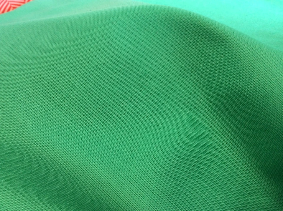 FRESH MINT #C100-49 BY RILEY BLAKE DESIGNS -COTTON-  1 3/8 YARDS - Image 1 of 1