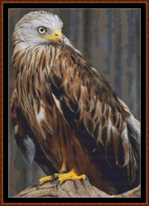 RED KITE cross stitch pattern (punto cruz) {ave} - Picture 1 of 5