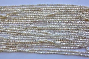 2-3 mm Oval Zuchtperlen Strang Süßwasser Perlen Schmuck Kette Halskette nmbh - Bild 1 von 2