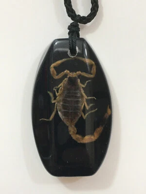 Collar colgante de insectos de escorpión real Foto 1 de 4