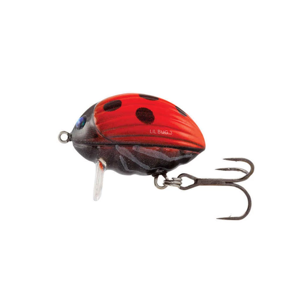 Salmo Lil Bug Floating 2cm 2,8g Ladybird Wobbler Raubfisch-Shop - Bild 1 von 1