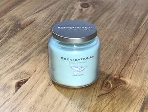 Scentsational Candle Cool Wave Scent Soy Wax Blend 19 oz Single Wick Glass Jar - Picture 1 of 6