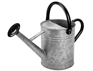 ✨ Steel Watering Can Matted Silver Galvanized 1Gallon Black Scandinavian Accents - Picture 1 of 5