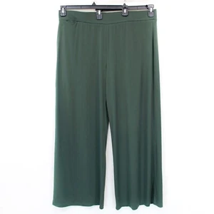 Susan Graver QVC Plus Green Every Day Regular Liquid Knit Wide Leg Pants 1X - Picture 1 of 7