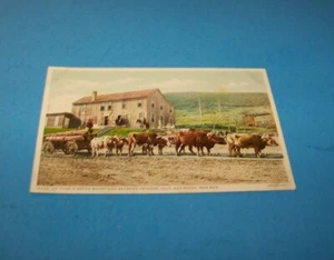 Cartolina Ox Team Trinidad, Colorado & Raton, N.M. Fred Harvey "Phostint" - Foto 1 di 2