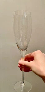 NUOVO Calvin Klein Crystal Champagne Flauto - Punto - Set di 4 - Foto 1 di 5