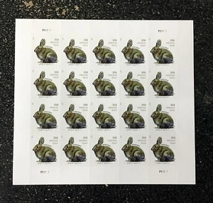 2021USA #5544 Additional Ounce Rate - Brush Rabbit - Sheet of 20 Mint - Picture 1 of 1