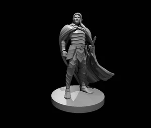 Elven Male Paladin for D&D Dungeons and Dragons Pathfinder DND Mini - Picture 1 of 1