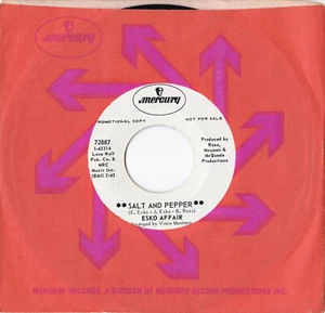 Esko Affair -Salt And Pepper / Morning Dull Fires- 7" 45 US Promo, Mercury 1968 - Picture 1 of 1