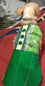 Charlie Brown and the Gang St. Patrick's Day Cheerleader Dress for Small Dog - Picture 1 of 4