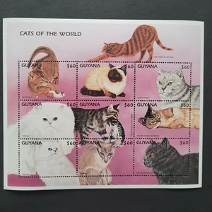 Guyana 1997 / Cats of the World - Persian, Silver Tabby, Siamese... / 9v ms - Picture 1 of 1