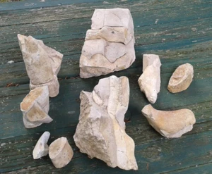 Urweltknochen versteinerte Fragmente - Schwäbische Alb ca. 125/250 Millionen alt - Bild 1 von 14