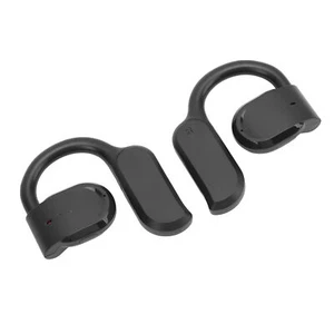 Language Translator Earbuds 144 Online Translation Languages BT 5.4 Languag Kit - Picture 1 of 22