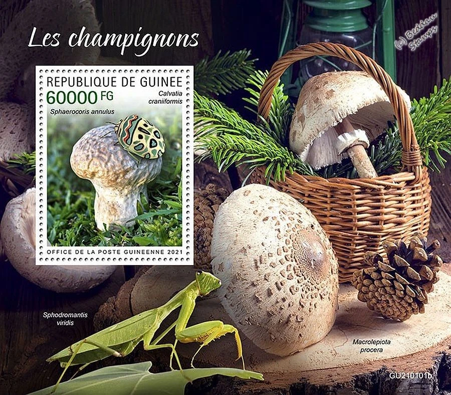 MUSHROOMS & FUNGI (Insects Mantis/Picasso Bug) MNH Stamp Sheet #2 (2021 Guinea) - Image 1 of 1