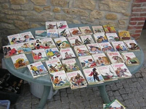 Au Choix EO BIBLIOTHEQUE VERTE AVEC JAQUETTE VICTOR HUGO JULES VERNE ETC TBE/BE - Picture 1 of 9