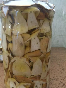 ANTIPASTO CONTORNO FUNGHI PORCINI TAGLIATI IN OLIO DI OLIVA VASETTO 314 GR - Foto 1 di 4