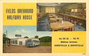 GREYHOUND BUS HALFWAY HOUSE, DEL RIO, TENNESSEE, VINTAGE POSTCARD (#704) - Picture 1 of 2