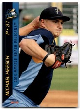 2015 CHOICE MYRTLE BEACH PELICANS MICHAEL HEESCH MYRTLE BEACH PELICANS #11