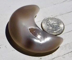Geoda Natural Ágata Cristal de Sanación Tallada a Mano Luna Gemstone 2.25 "x1.5" 42g - Imagen 1 de 4