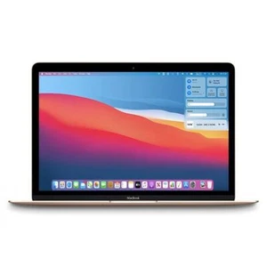 2015 Apple Macbook Core M 1.2GHz 12in 512GB SSD 8GB RAM A1534 2015 Gold, Good - Picture 1 of 4