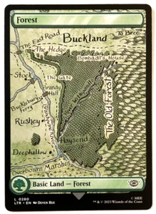 MTG Forest The Lord of the Rings: Tales of Middle-earth 280 FULL ART Land - Picture 1 of 2