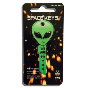 Llave en blanco en tarjeta Alien Head con forma de cabeza - Trajes KW1 LW4 - CORREO GRATUITO - Imagen 1 de 3