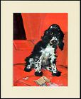 COCKER SPANIEL AND TORN BOOK LOVELY COMIC DOG PRINT MOUNTED READY TO FRAME