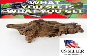 NATURAL MANGROVE DRIFTWOOD #M110 WYSIWYG - AQUASCAPING, SUPER PRICE!! DECORATION - Picture 1 of 10