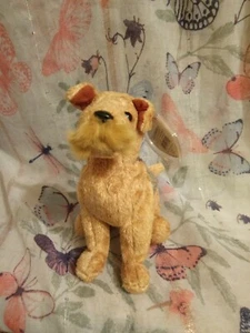 Ty 2000 Beanie Babies ~ Bigotes The Schnauzer Dog 2000 Etiqueta y Protector. 55 - Imagen 1 de 6