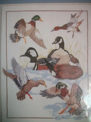 Kit Punto de Cruz Pato Collage Imagen 14" x 18" Algo Especial Foto 1 de 4