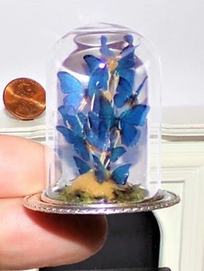 Casa de muñecas 1:12 miniatura 10 mariposas morfo azules realistas cúpula de vidrio - Únicas - Imagen 1 de 15