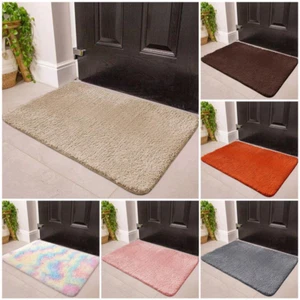 Door Mats Indoor Outdoor Washable Non Slip Rug Small Large Kitchen Floor Mat - Picture 1 of 38